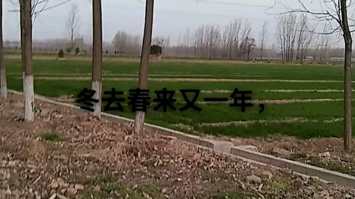 看这风景好吗?